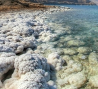 ツアー 360° Dead Sea Beach