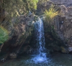 Tour 360° Waterfall near the dead sea